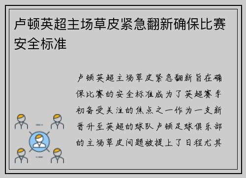 卢顿英超主场草皮紧急翻新确保比赛安全标准