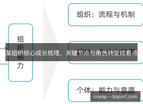 某组织核心成长梳理，关键节点与角色转变成看点